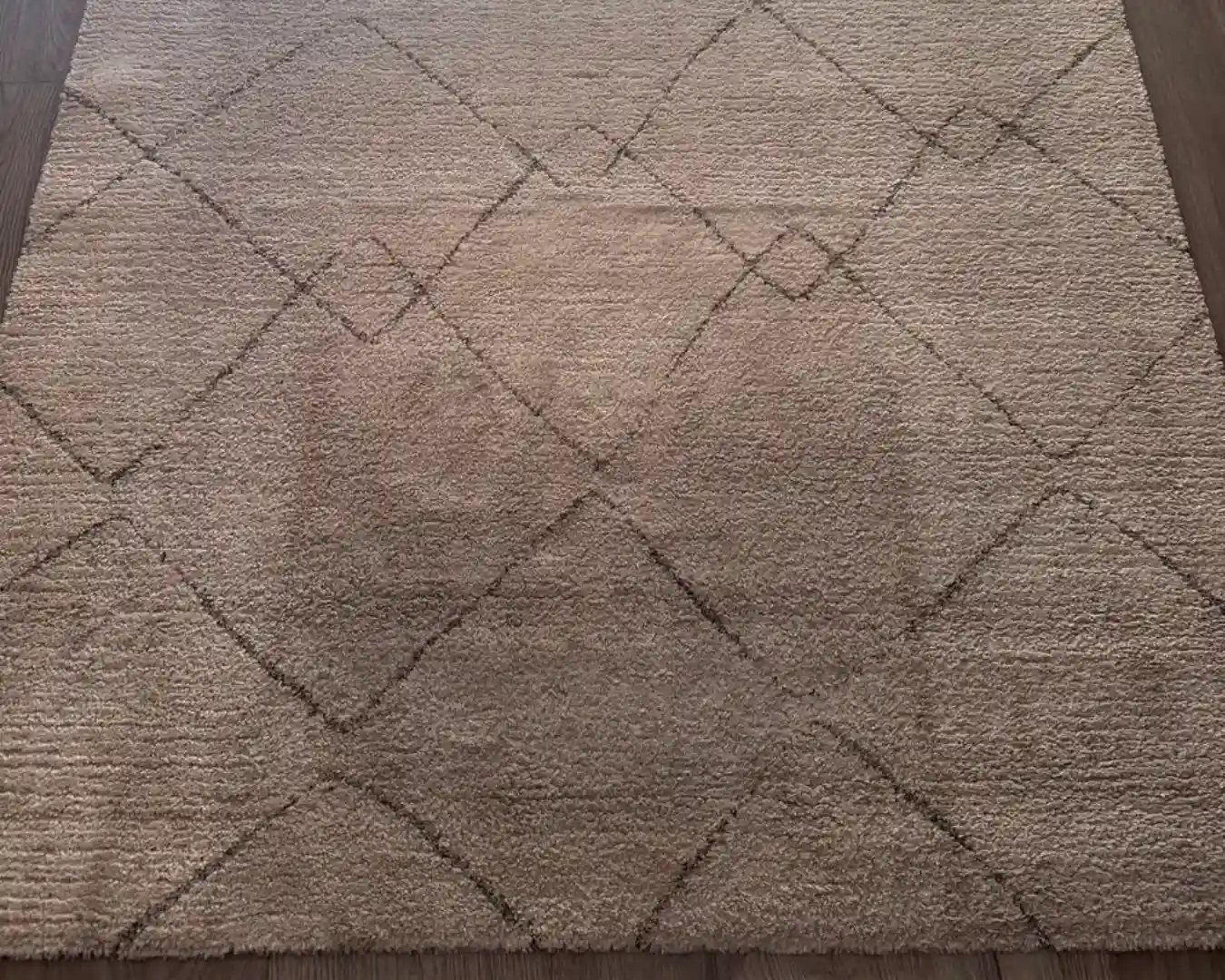 Antes de la limpieza de alfombras de Blanes y Lloret de Mar