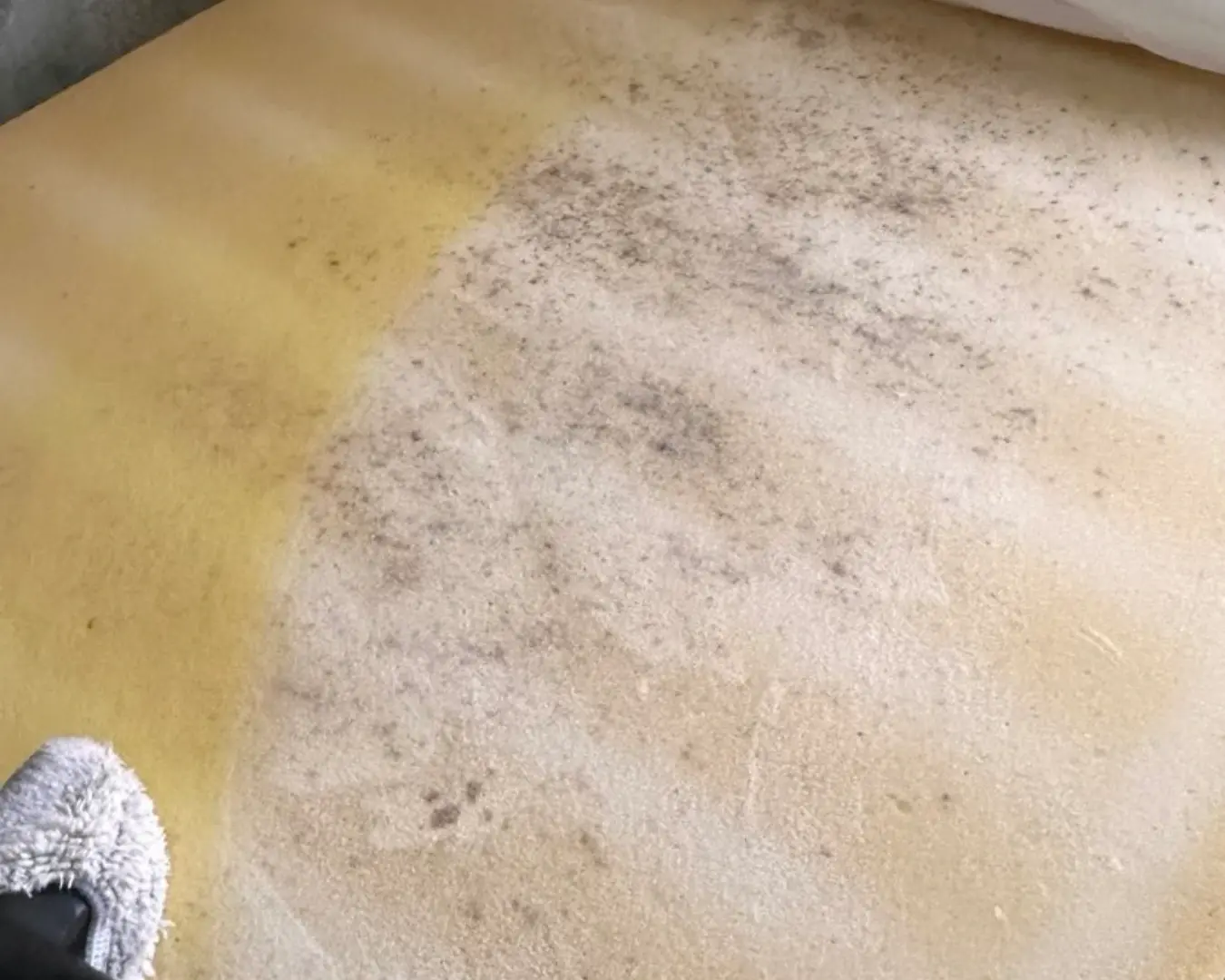 Antes de la limpieza de otros elementos de tapicería de Girona